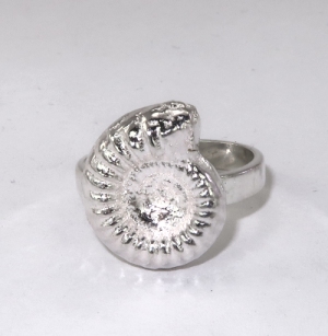 Silver ammonite ring